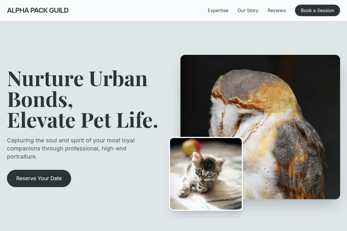 Elite Pet Photography