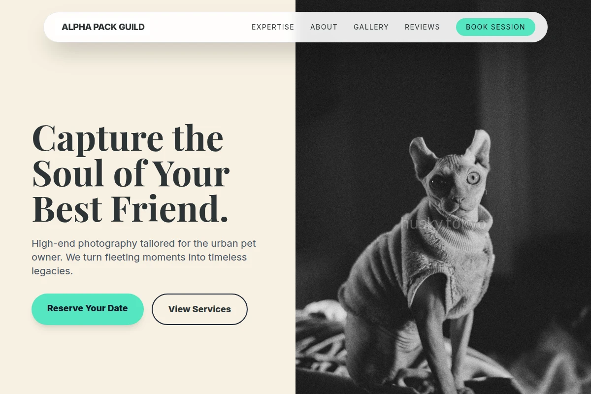 Elite Pet Photography